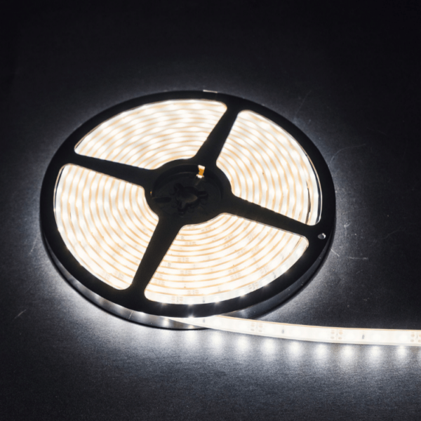LED Streifen auf Rolle 5m. | 24v | 1200 Lumen pro Meter | 6000K | IP71 | BLS-5060W24V