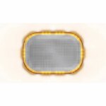 Kompakte R65 Minibar 24V Saugnapf-Montage | MLB246R65ACM-MM – Bild 3